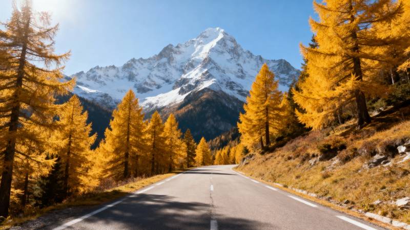 秋山雪峰公路图片