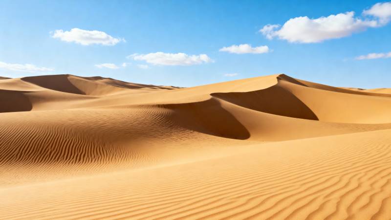 金色沙丘连绵起伏图片