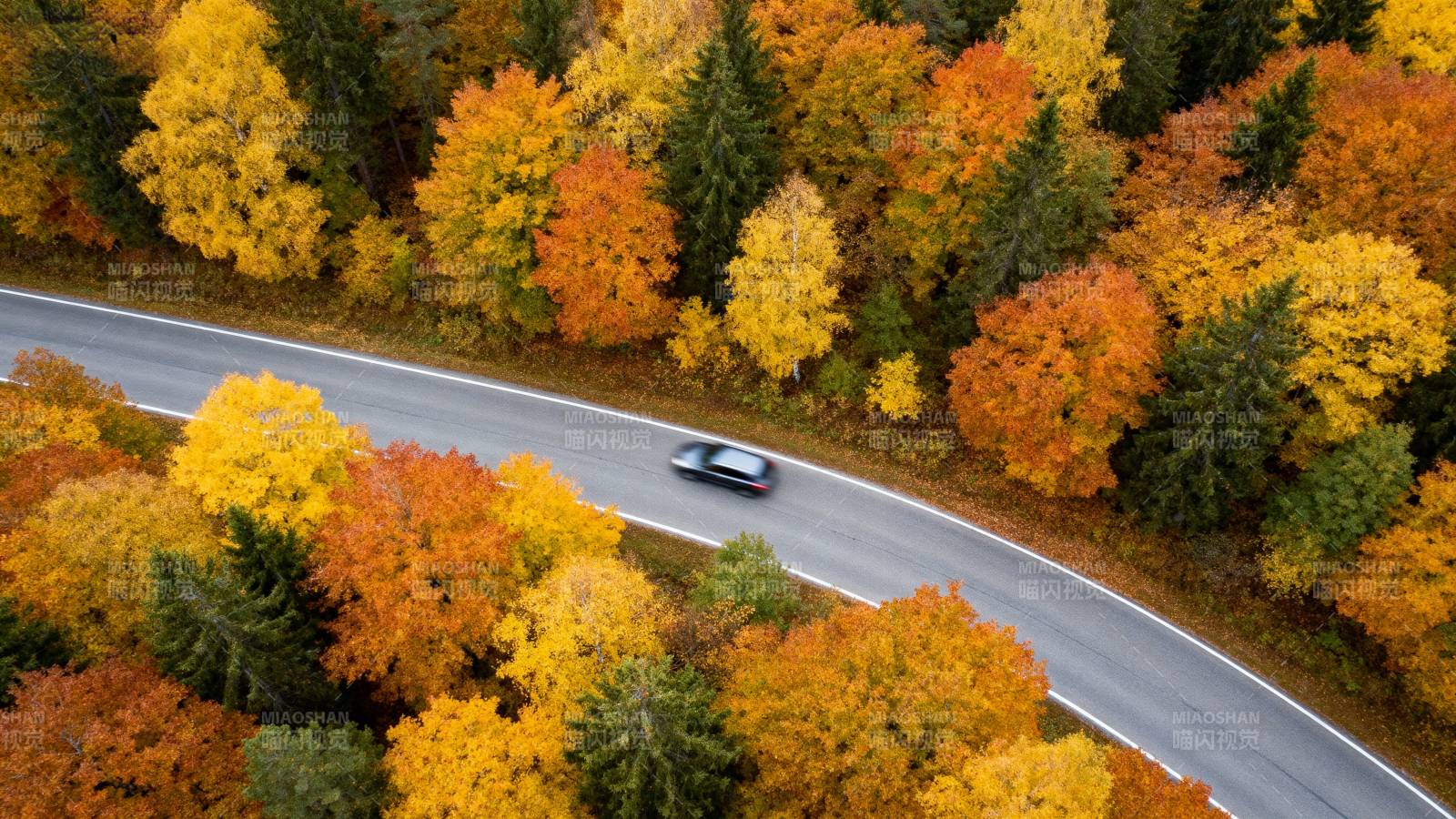 秋色斑斓的公路图片