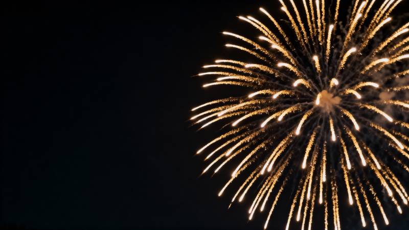 璀璨烟花夜空绽放图片