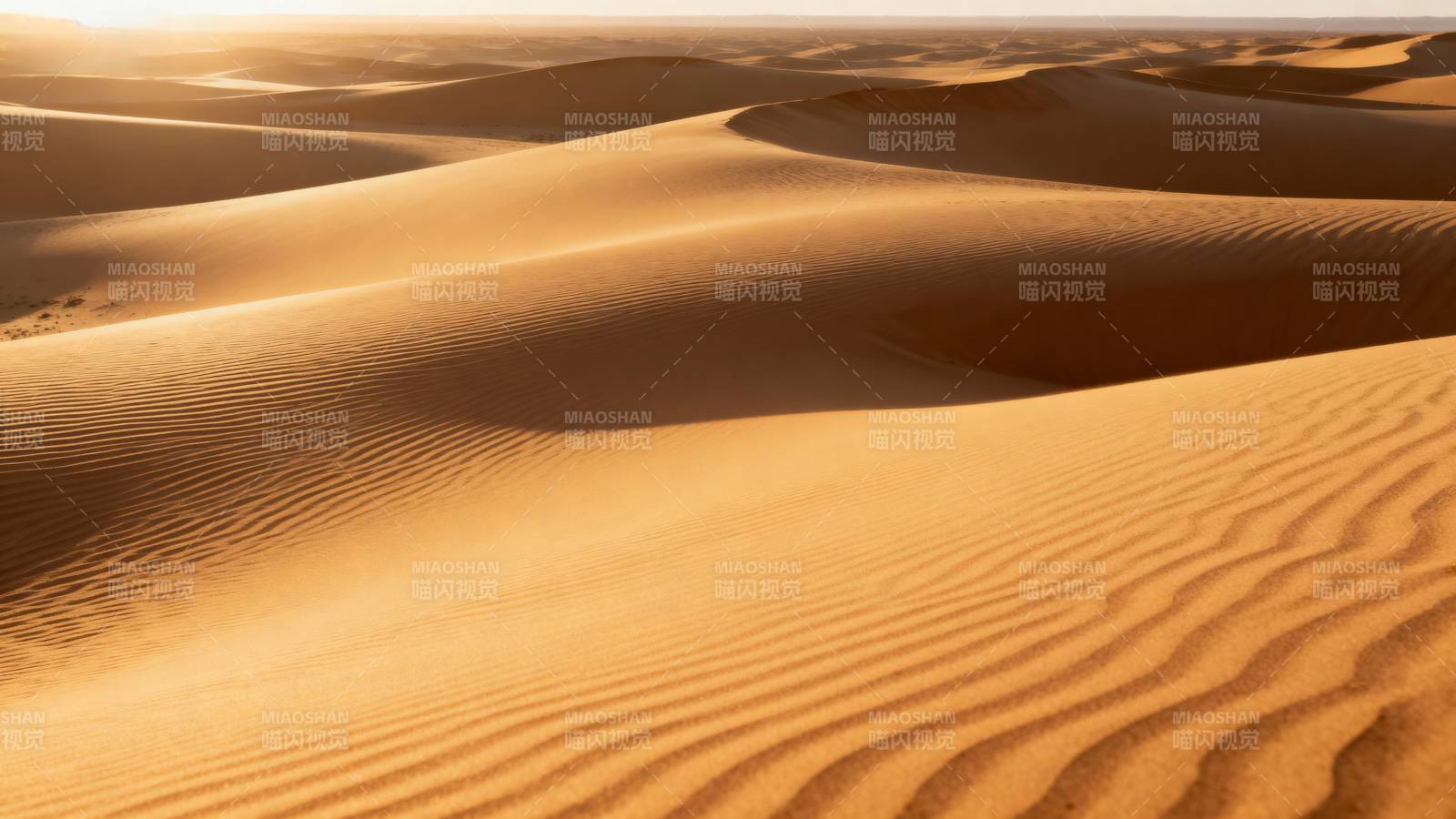 金色沙丘连绵起伏图片