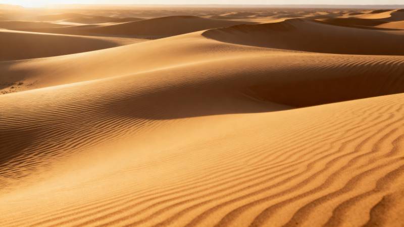 金色沙丘连绵起伏图片