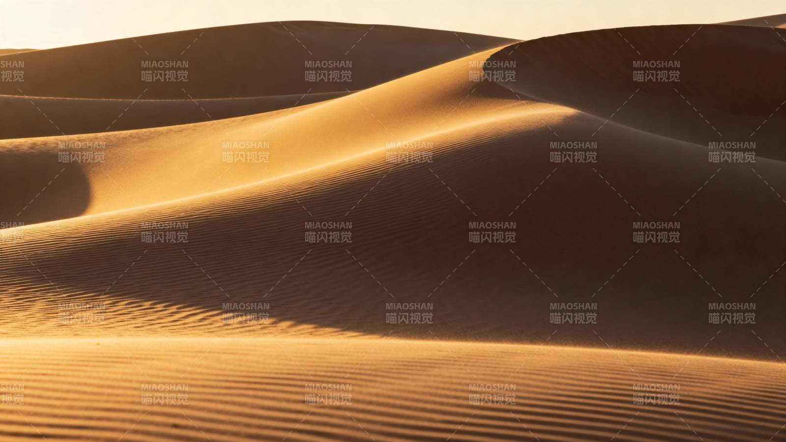金色沙丘的韵律图片