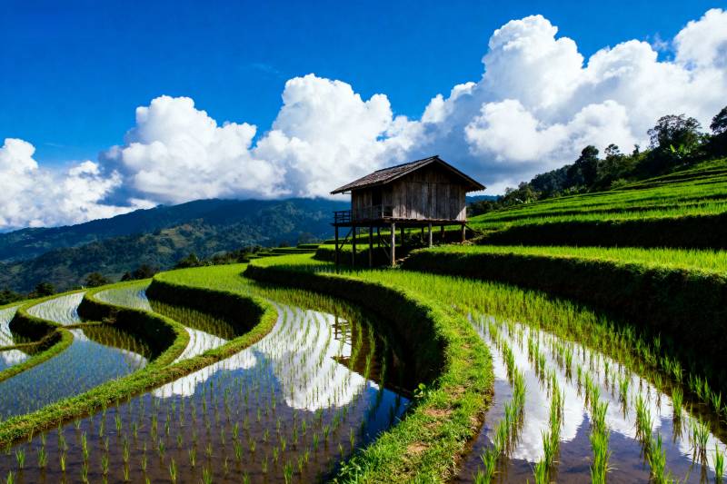 梯田上的木屋图片