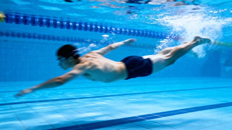 泳池中的自由泳瞬间图片