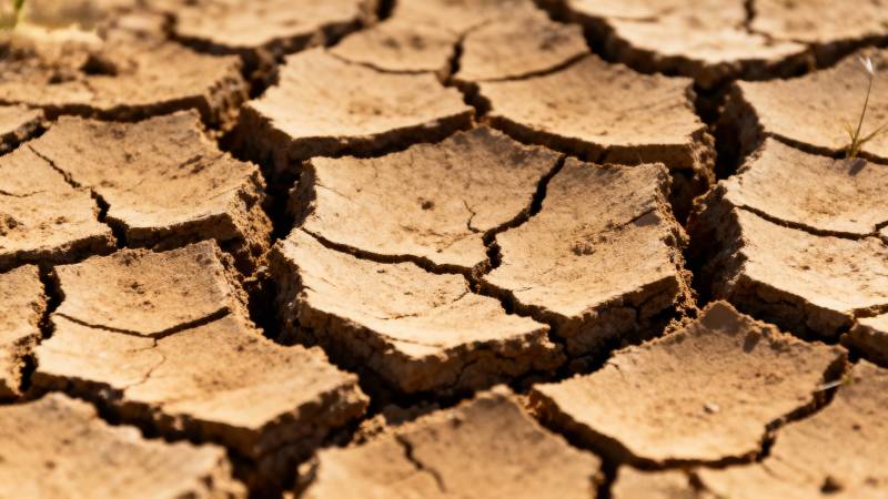 干裂的土地图片