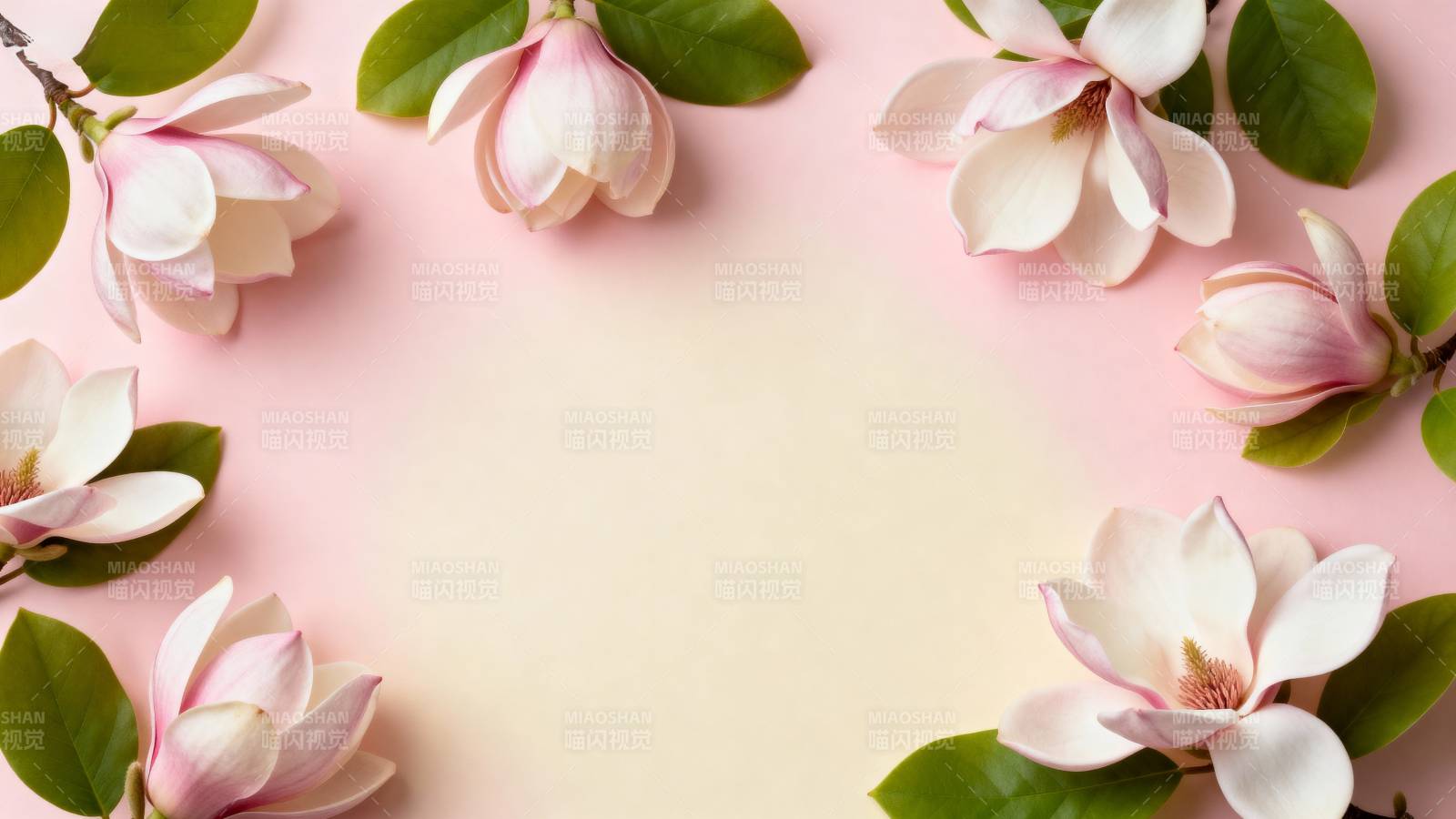 玉兰花绽放春意图片