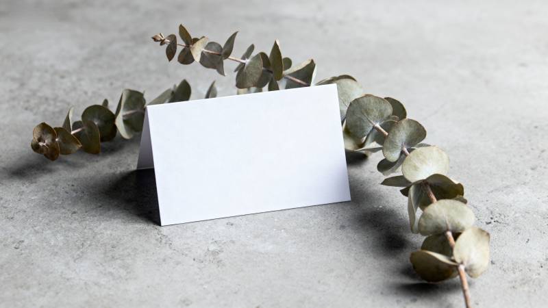 简约绿植卡片摆拍图片