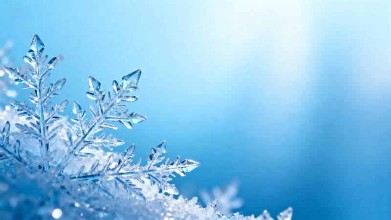 晶莹雪花 冬日美景图片