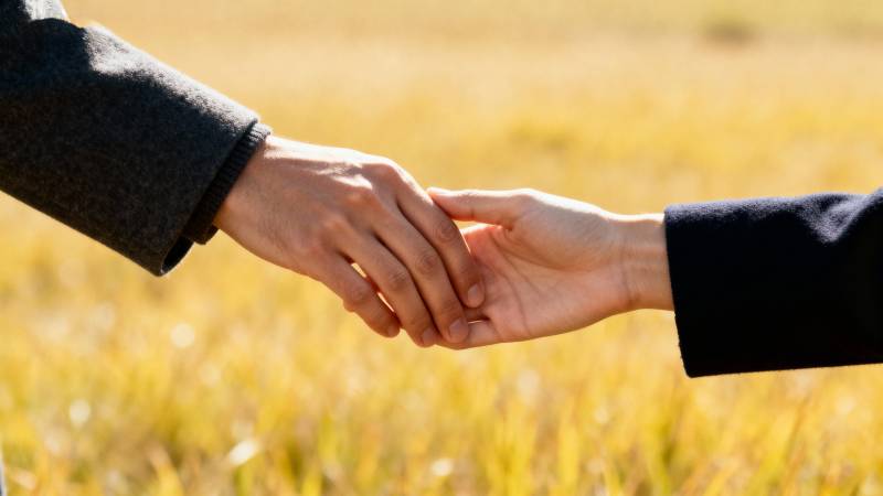 牵手共度美好时光图片