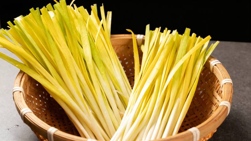 新鲜韭黄盛竹篮图片