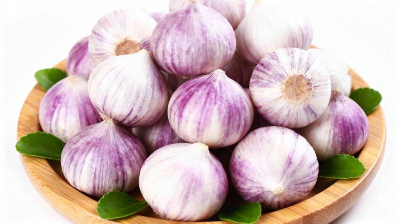 紫皮大蒜新鲜上市图片