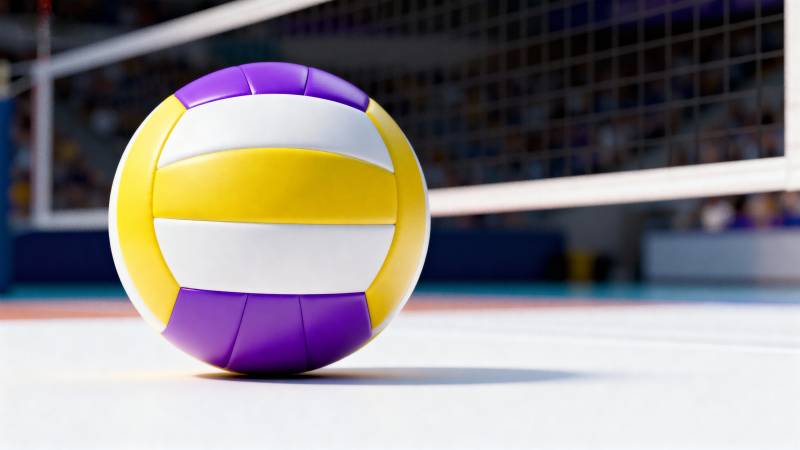 排球静置于球场图片