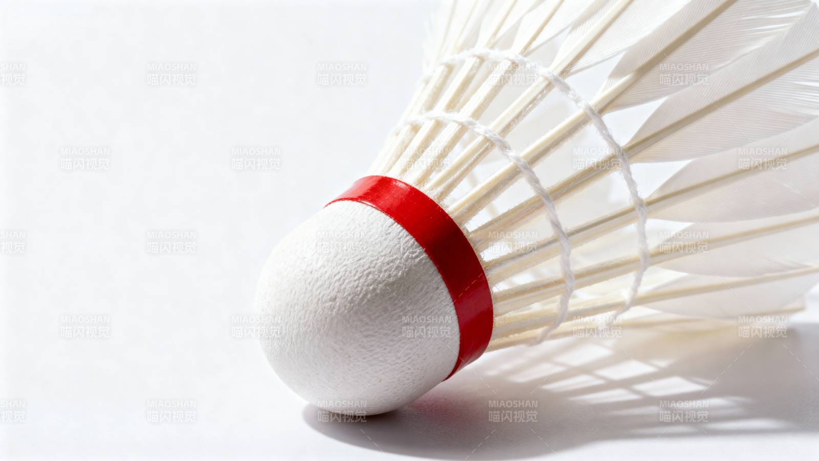 羽毛球特写图片