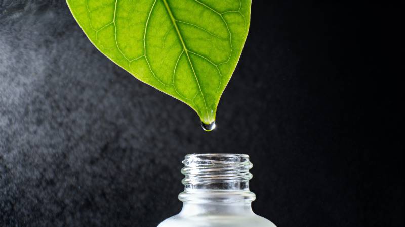 绿叶滴露入瓶图片