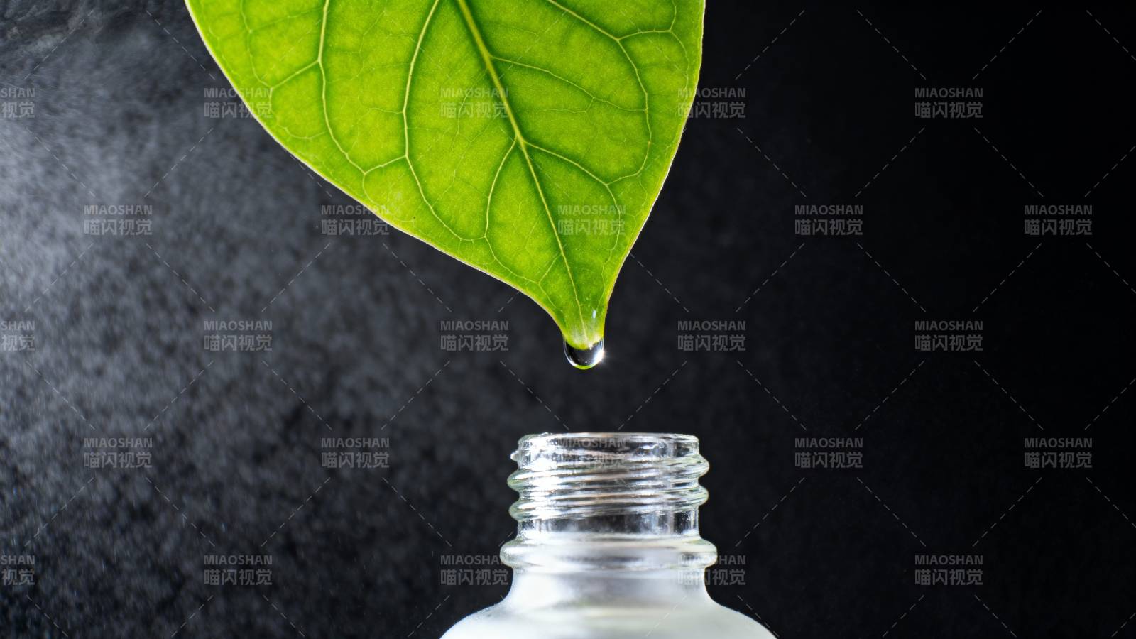 绿叶滴露入瓶图片