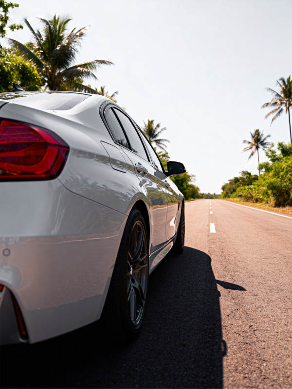 椰林公路驰骋图片