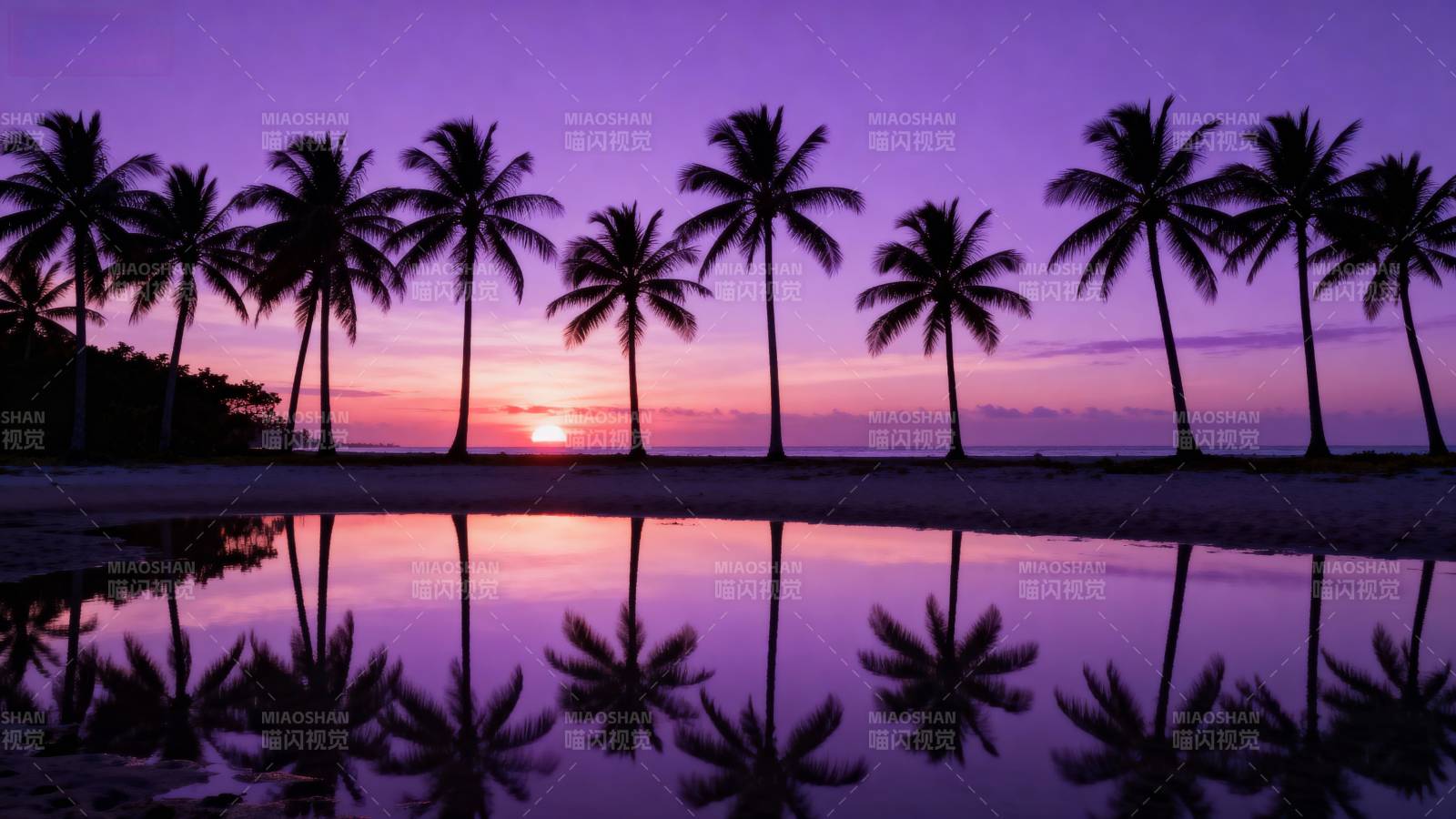 椰林夕照倒影图片