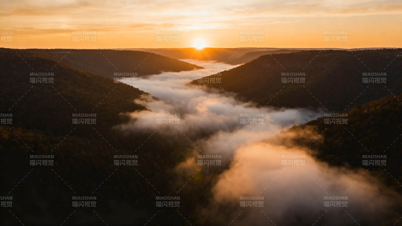 晨雾山谷日出图片