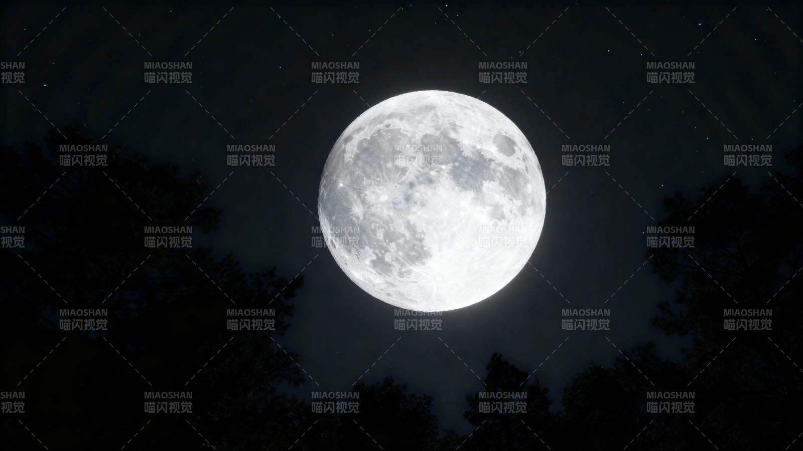 明月高悬夜空图片