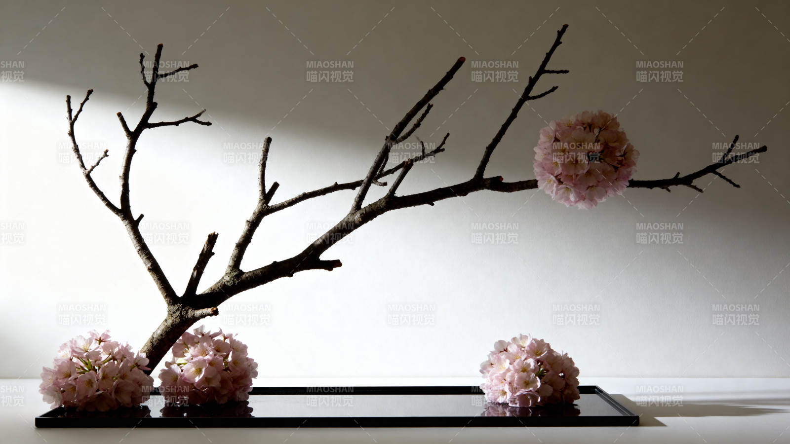 枯枝樱花静物图图片