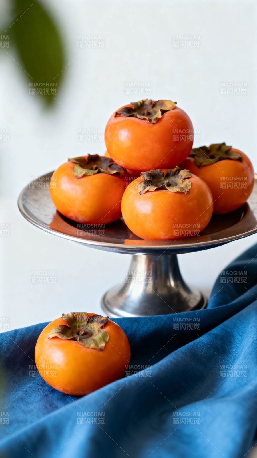 柿子静物图图片