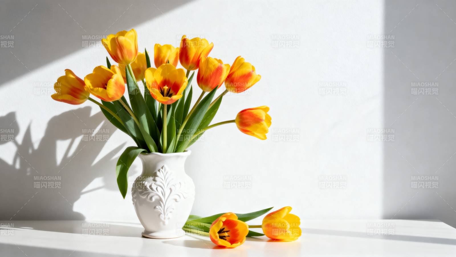 橙色郁金香静物图片