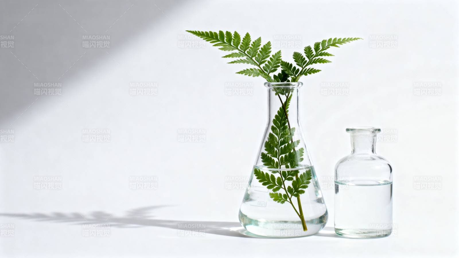 绿叶与水瓶静物图片