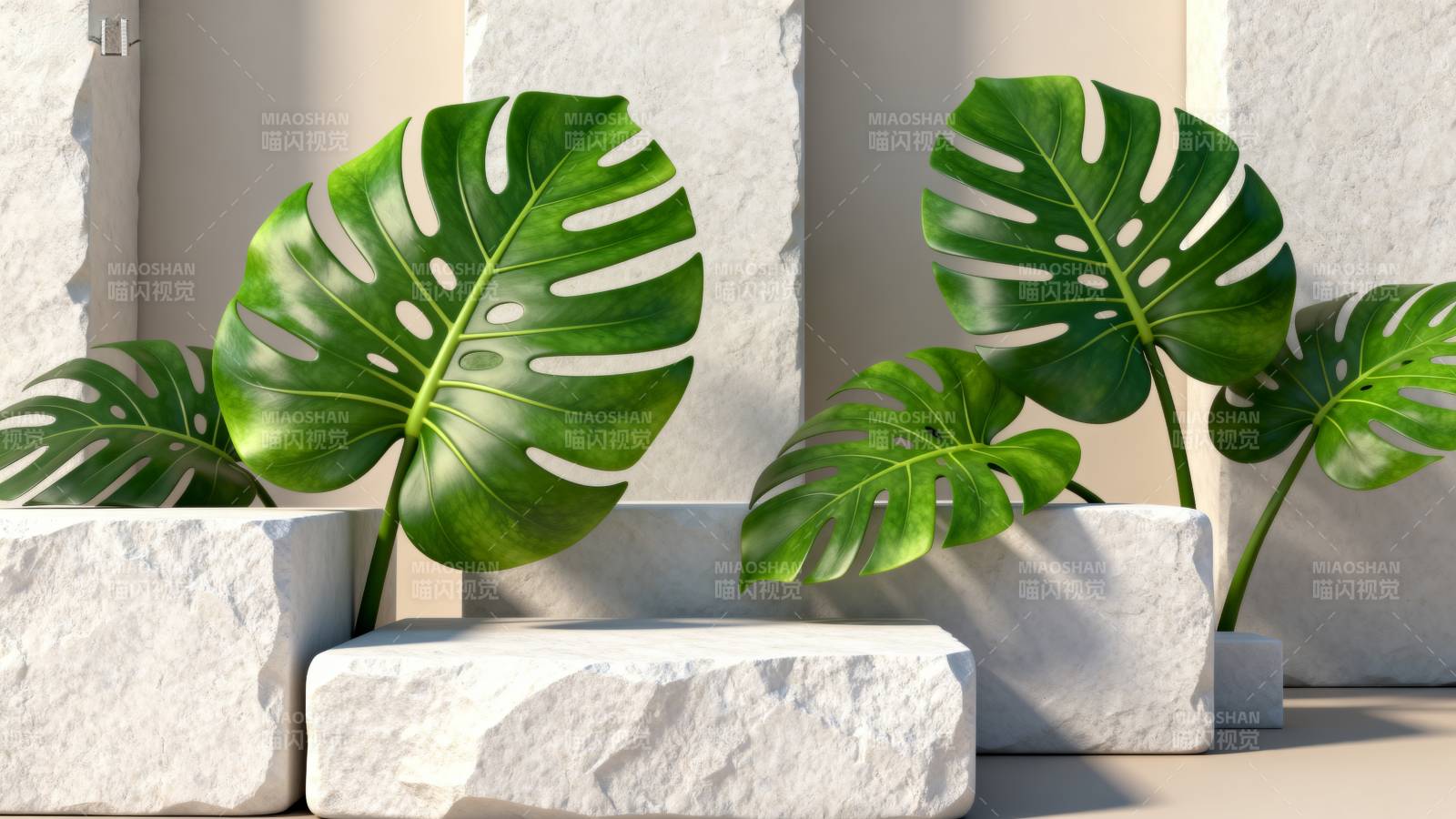 绿植点缀石台图片