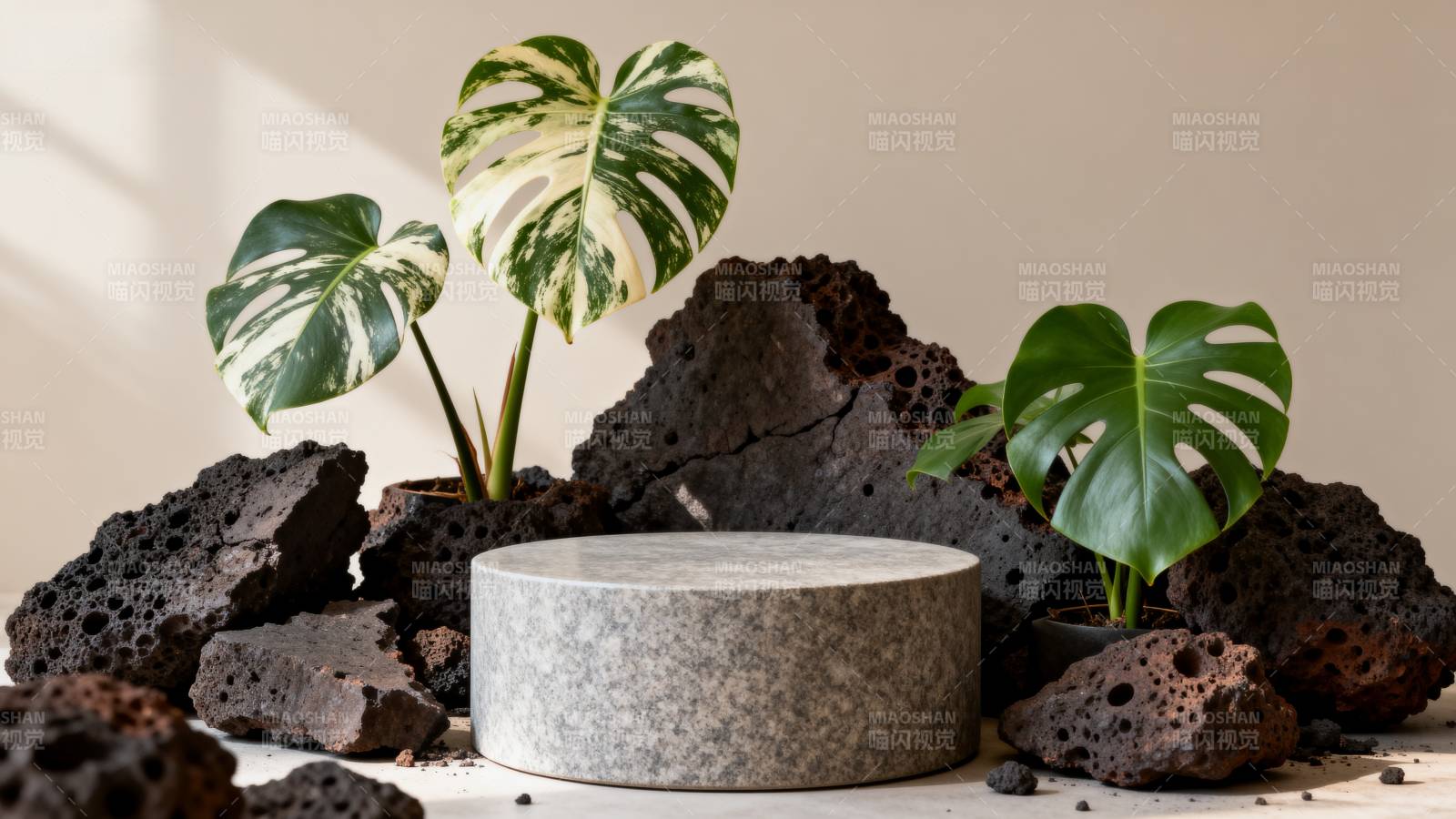 绿植与火山石静景图片