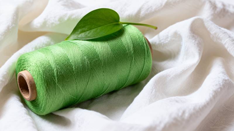 绿线与叶静物图片