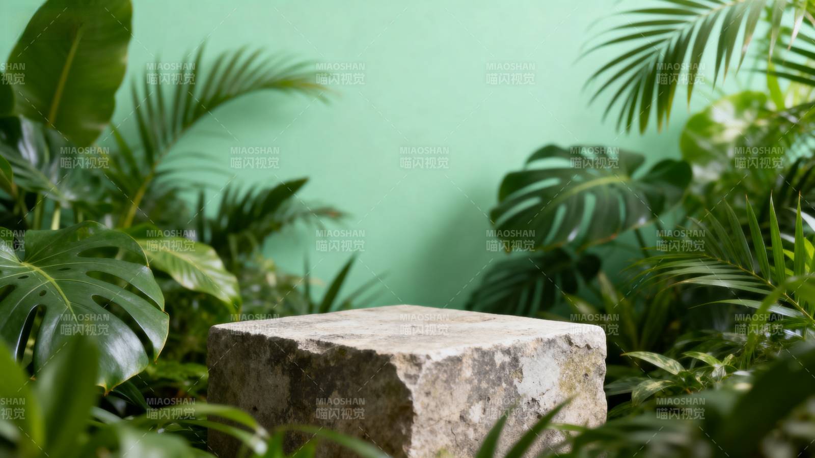 绿植环绕的石台图片