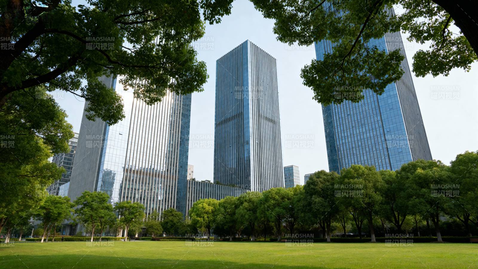 都市绿洲与高楼图片