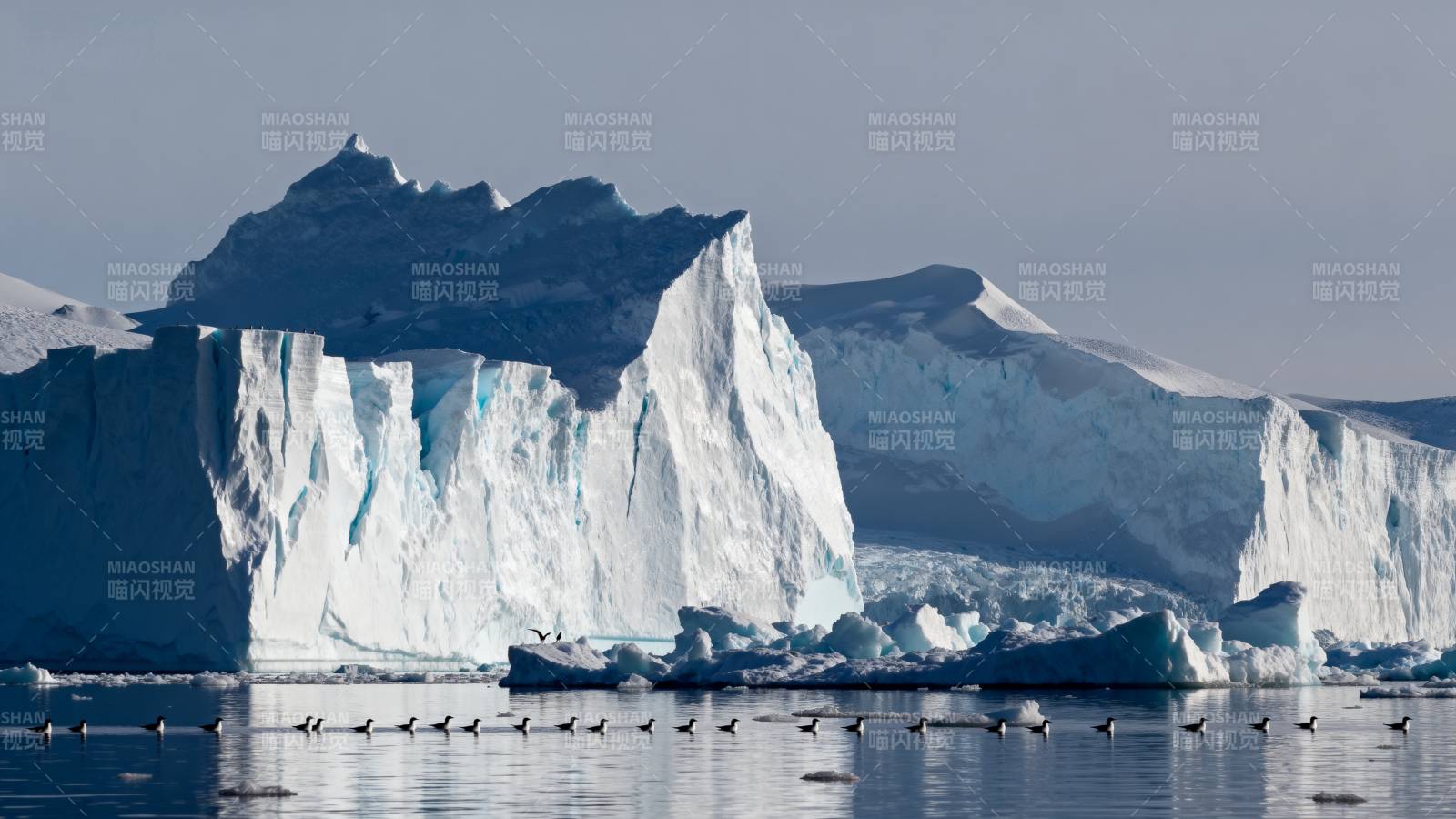 冰川与候鸟共舞图片