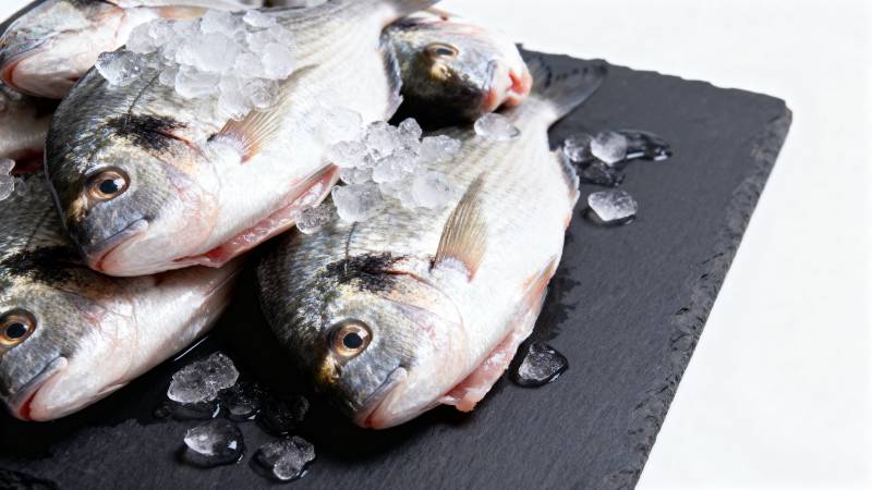 冰鲜海鱼特写图片