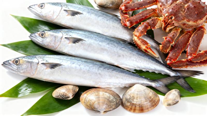 新鲜海产拼盘图片