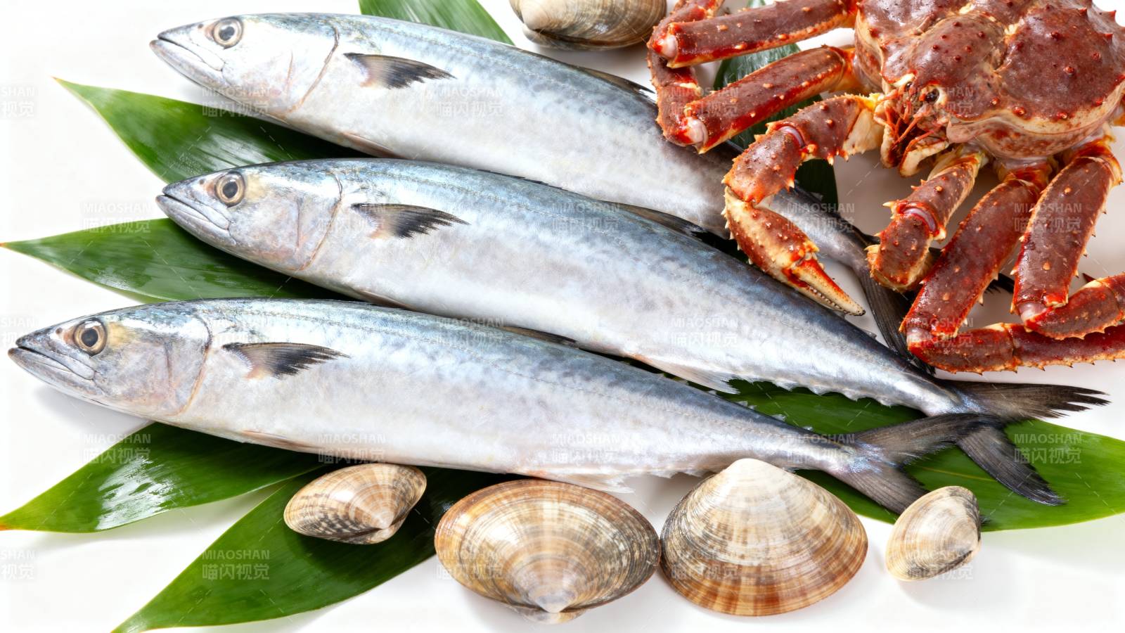 新鲜海产拼盘图片