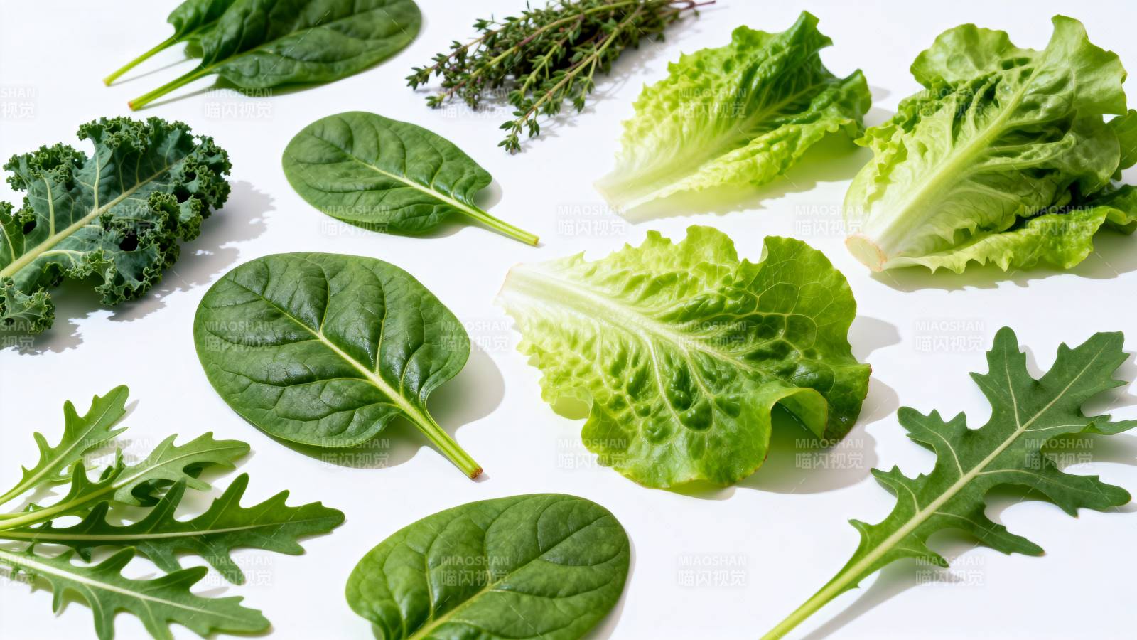 新鲜绿叶蔬菜拼盘图片