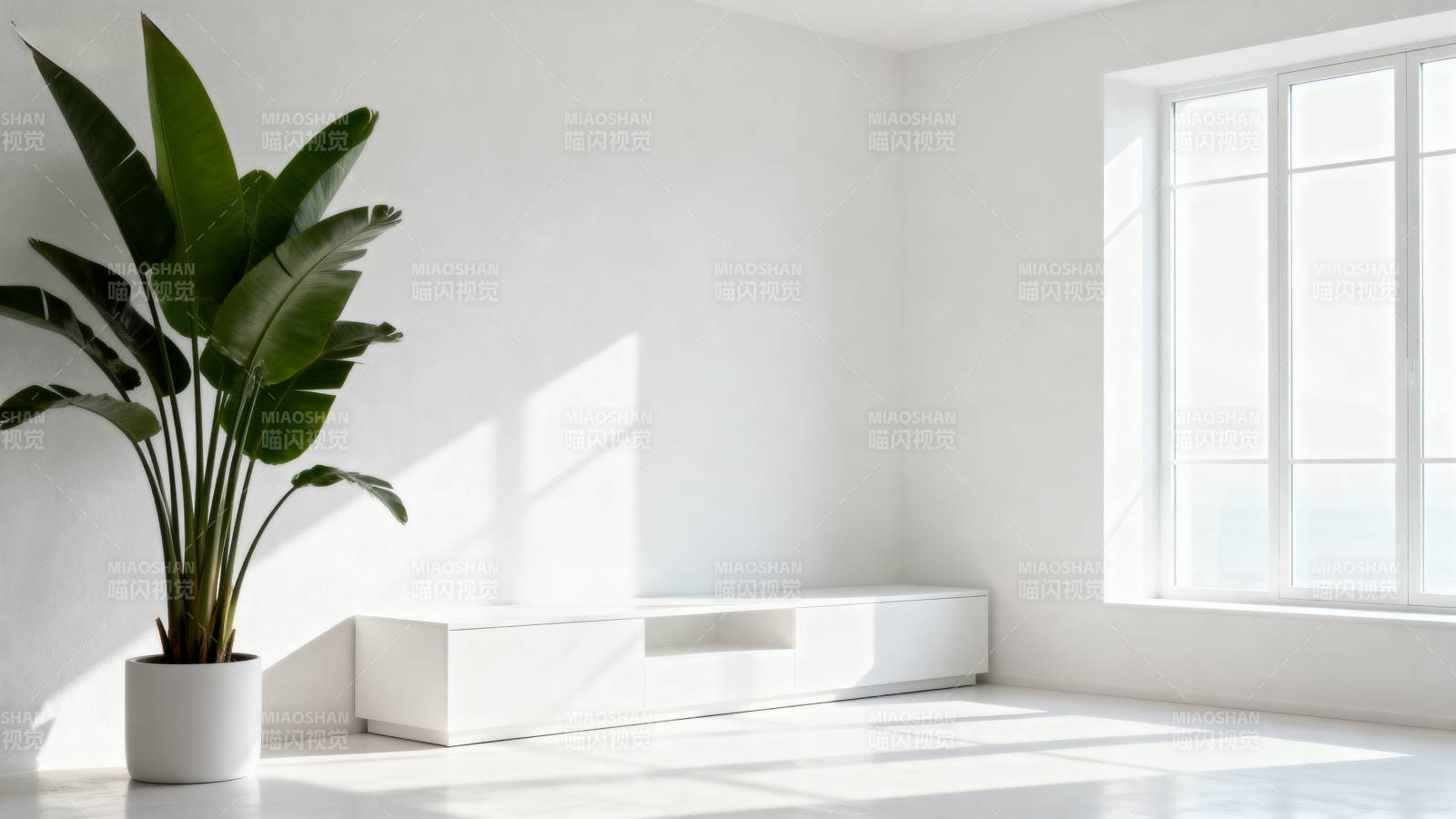 简约白墙绿植角落图片