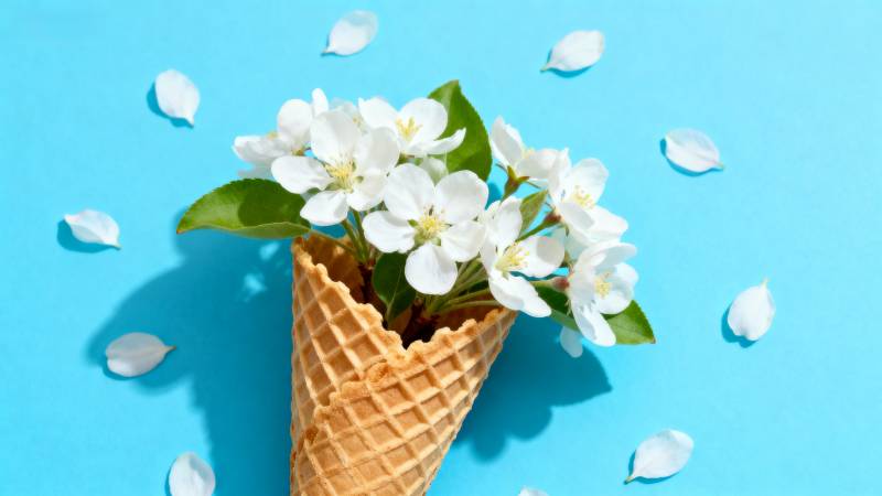 花在冰淇淋筒中图片
