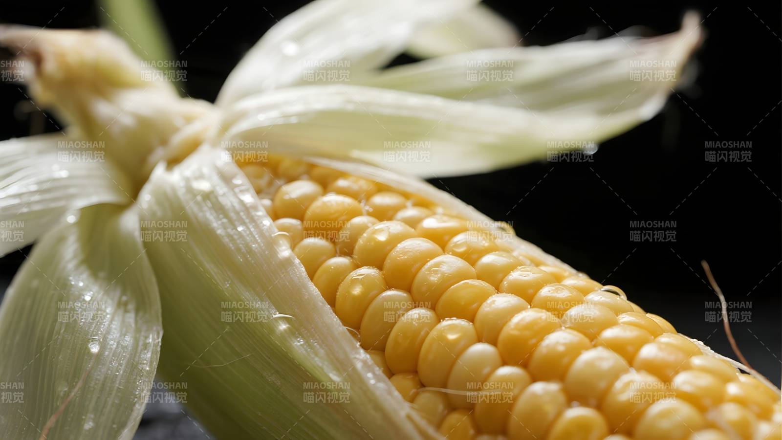 金黄玉米特写图片