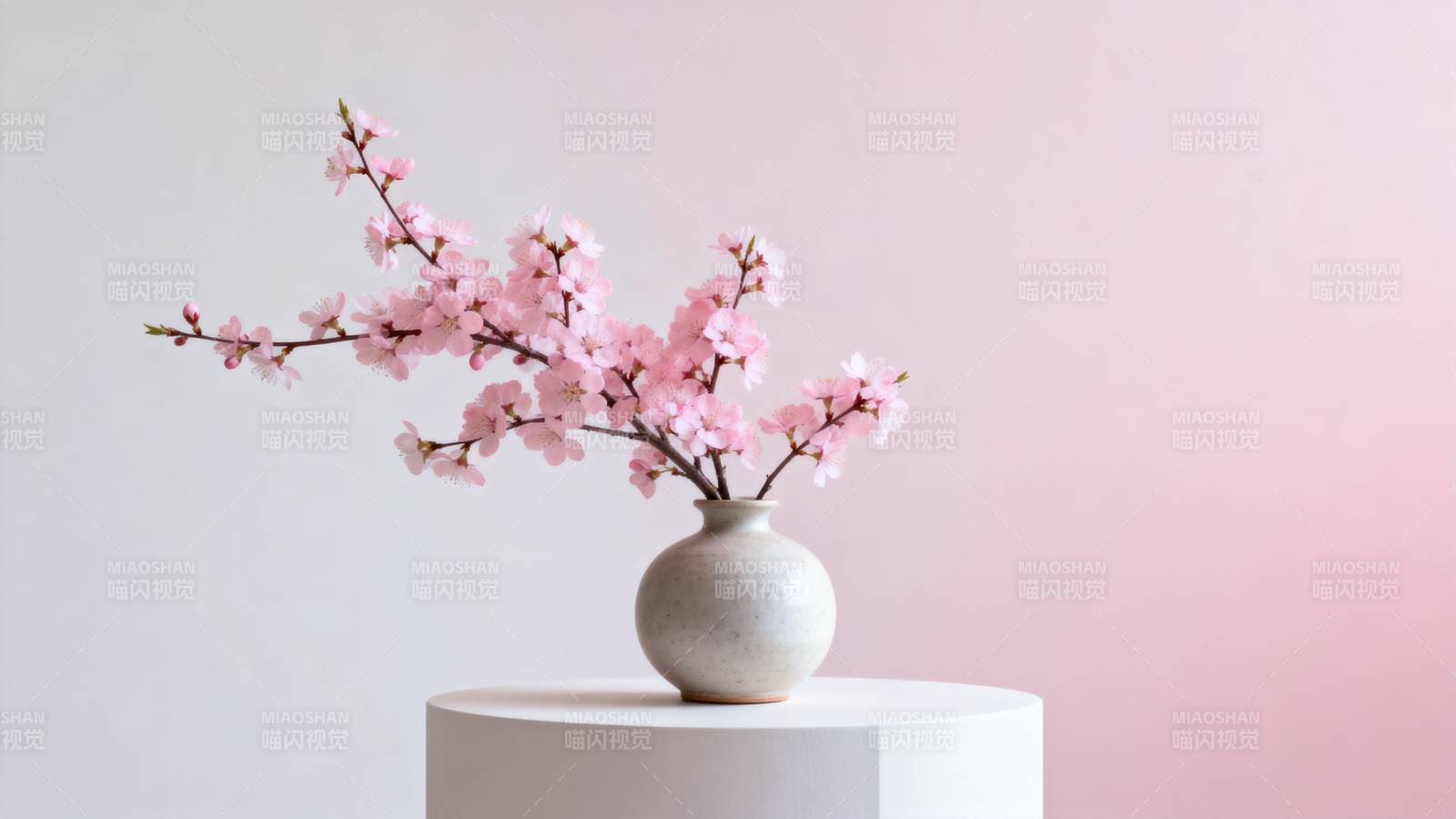 樱花静谧绽放图片