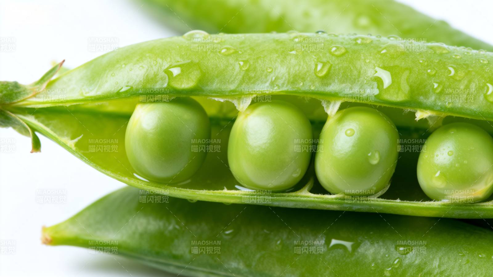 新鲜豌豆荚特写图片