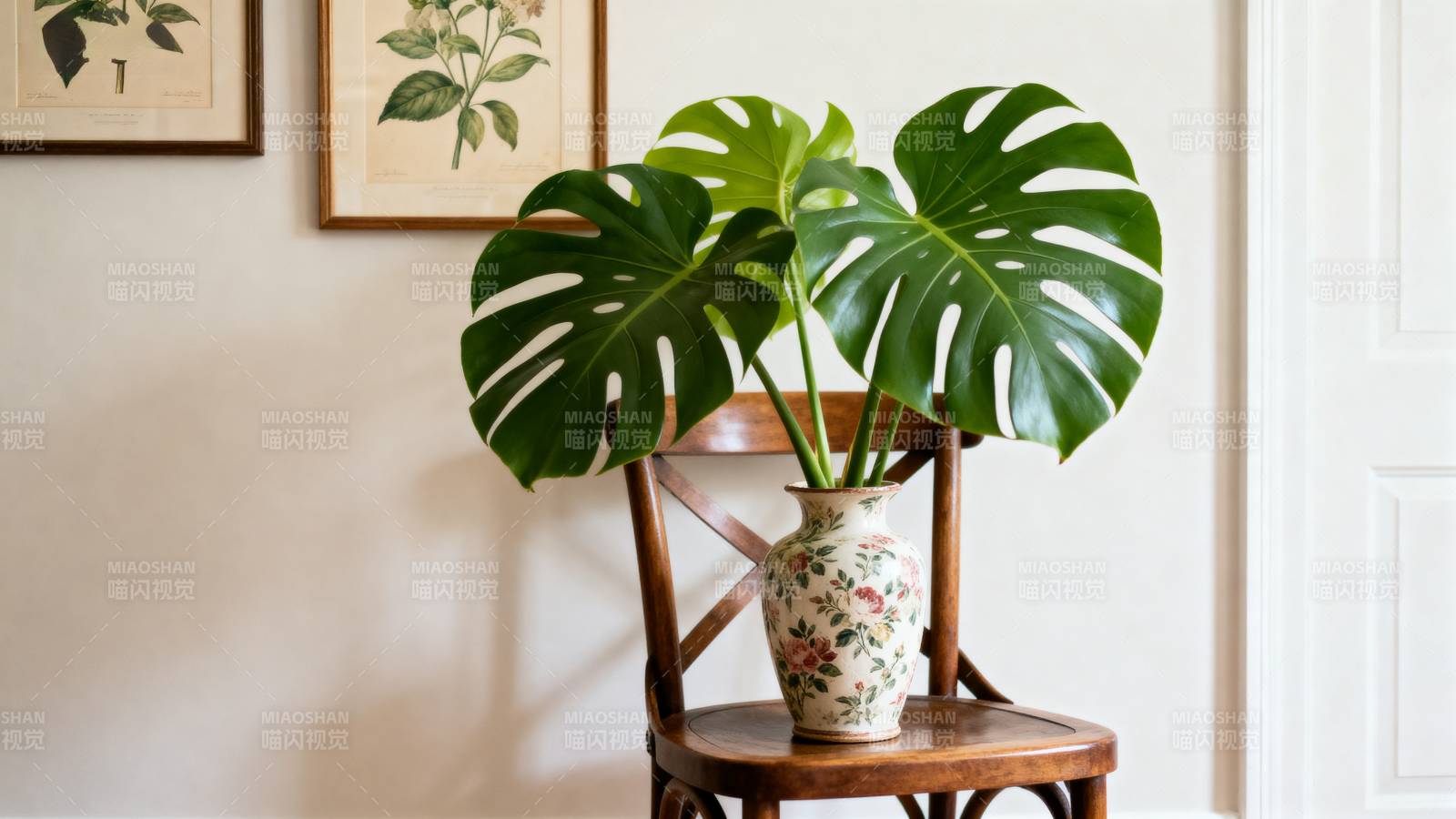 绿植点缀温馨角落图片