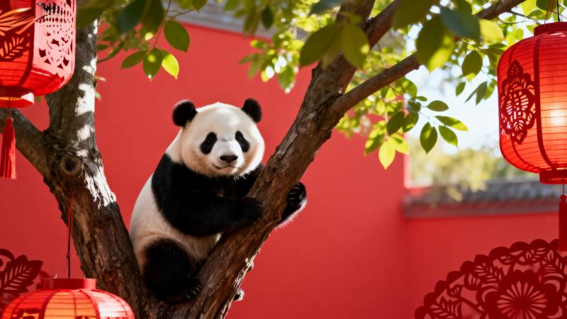 熊猫树上嬉戏图片