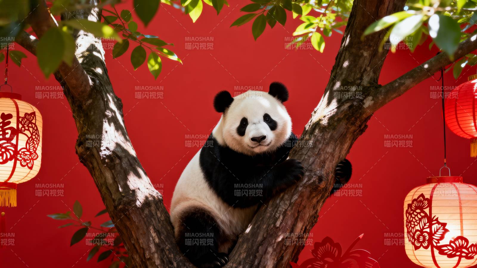 熊猫树上嬉戏图片