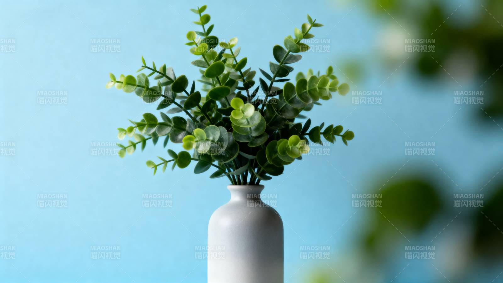 绿植点缀清新蓝调图片