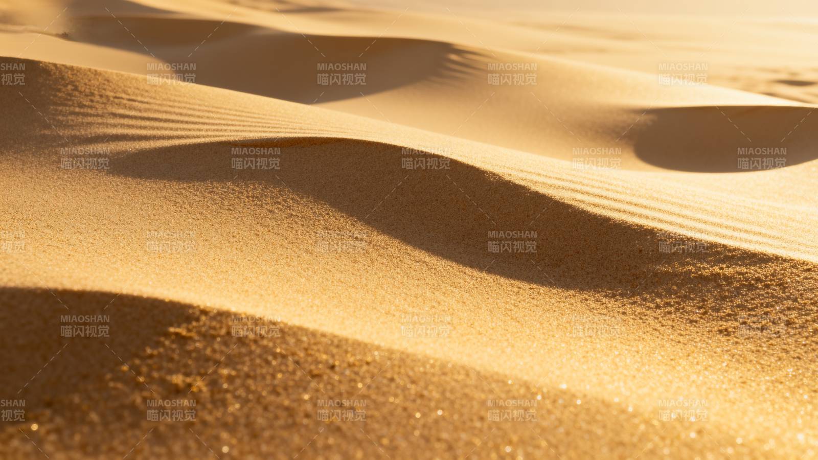 金色沙丘的柔美线条图片