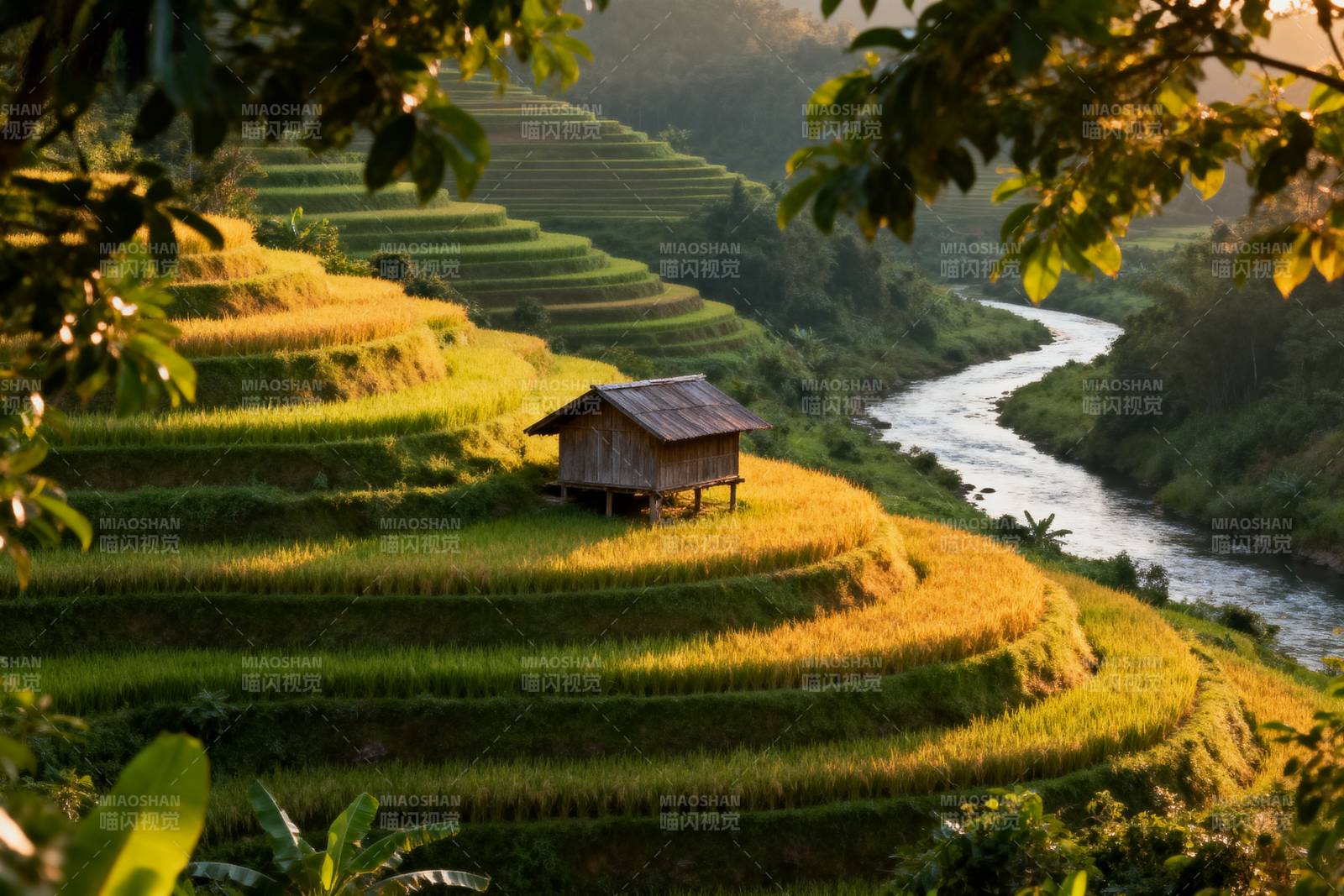 梯田晨光 小屋静谧图片
