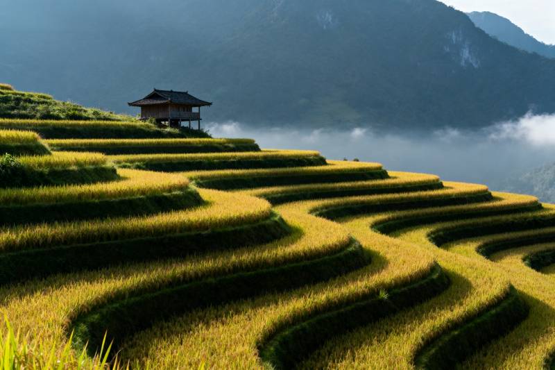 梯田晨雾山居图图片